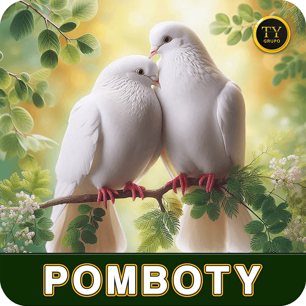 Ícone POMBOTY